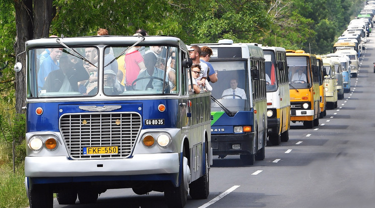 Öreg buszok sereglettek össze Tapolcán, köztük olyanokkal, amelyeken nagyszüleink is ülhettek akár/Fotó:MTI Máthé Zoltán
