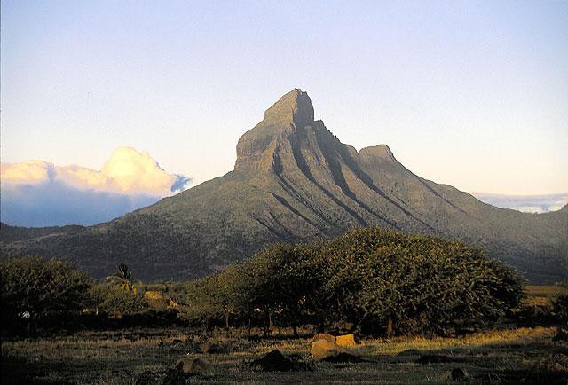 Galeria Mauritius - egzotyczna mieszanka, obrazek 18