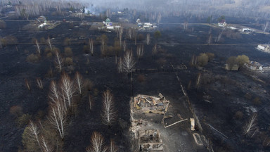 Fala upałów na Syberii "prawie niemożliwa" bez zmian klimatu