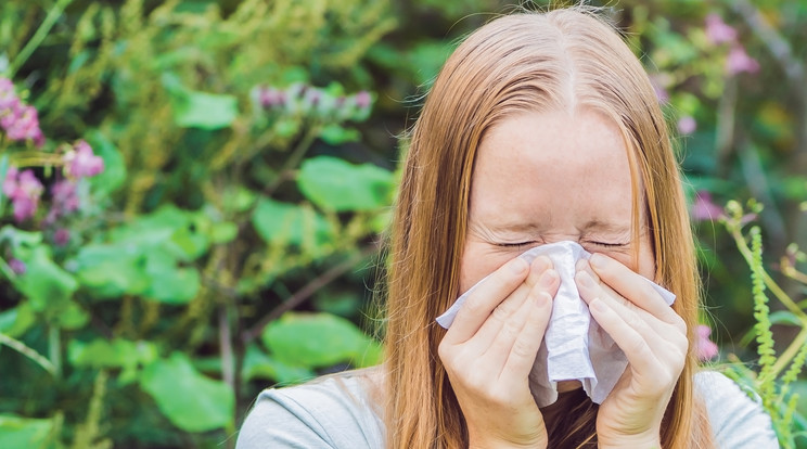 A parlagfű-allergia hazánkban legalább kétmillió embert érint /Fotó: Shutterstock