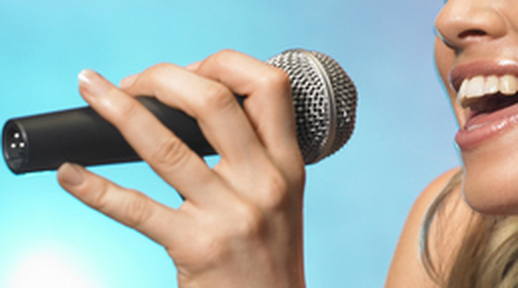 Az énekesnő a mikrofont használta mutatványához/Fotó:Northfoto