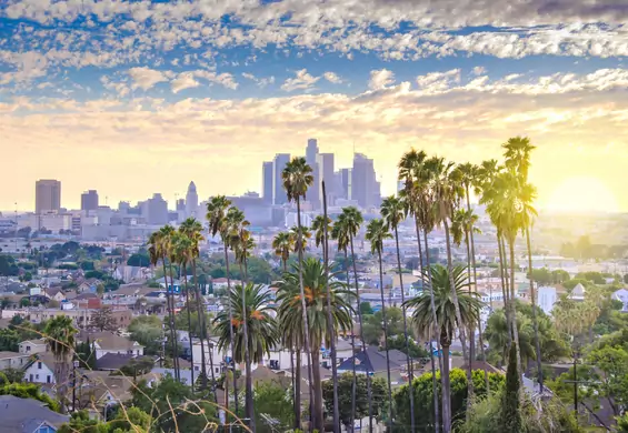 Spełnij amerykański sen po zniesieniu wiz - w 10 dni od Sacramento po Wzgórza Hollywood