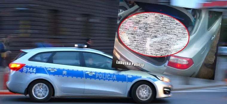 Policjantów bardziej zaskoczyła zawartość bagażnika niż ucieczka