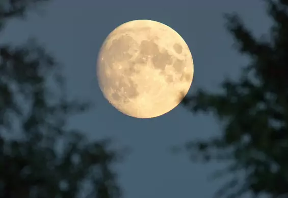 Mars zniknie za Księżycem. W czwartek rzadkie zjawisko astronomiczne