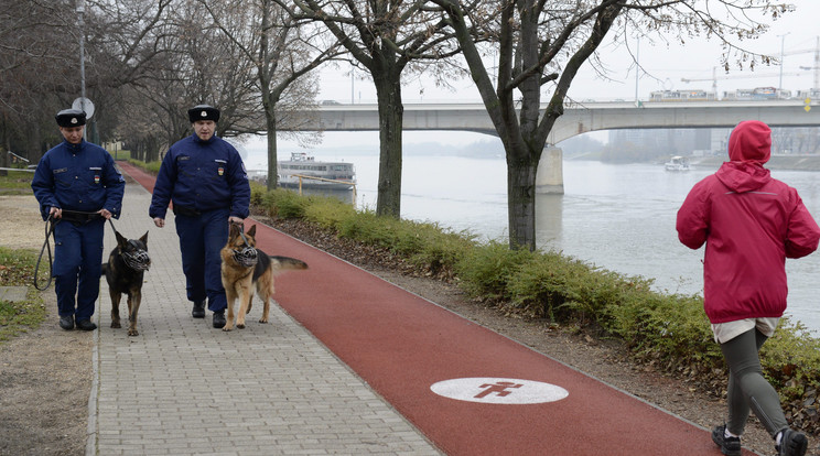 A szigeten nincsenek biztonságban a futó nők/Fotó: MTI - Soós Lajos