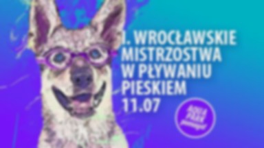 Wrocław: będą pływać pieskiem, żeby pomóc bezdomnym zwierzętom