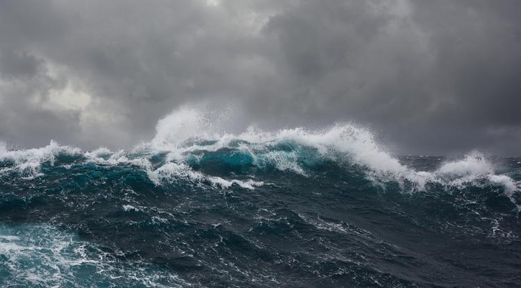 Horror az óceánban - Egyre több áldozat veszik oda