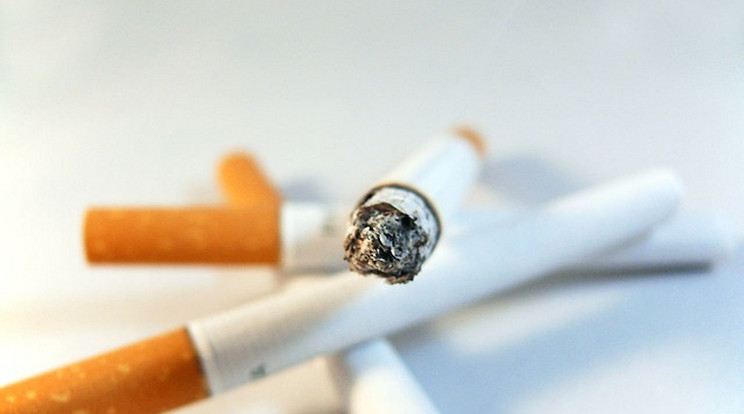 Globális dohányhiány van, de a kereslet állandó, igy az árak lassan kúsznak felfele/Illusztráció: Pixabay