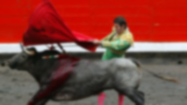 10-letni matador kolekcjonuje bycze uszy