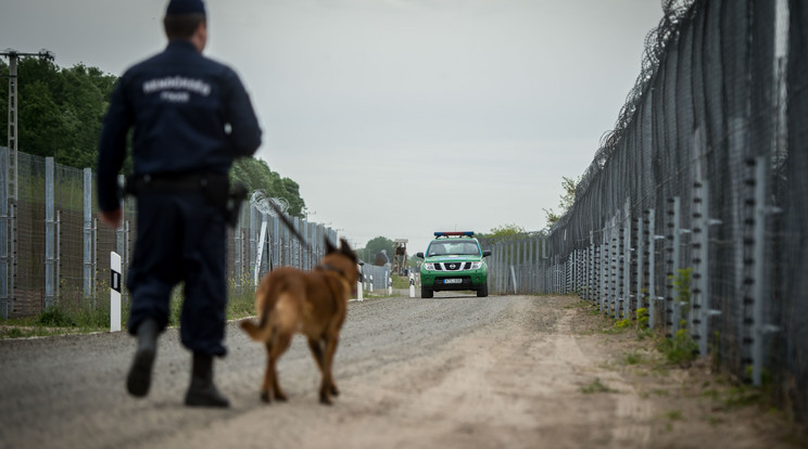 A magyar kerítés a szerb határnál / Fotó: AFP