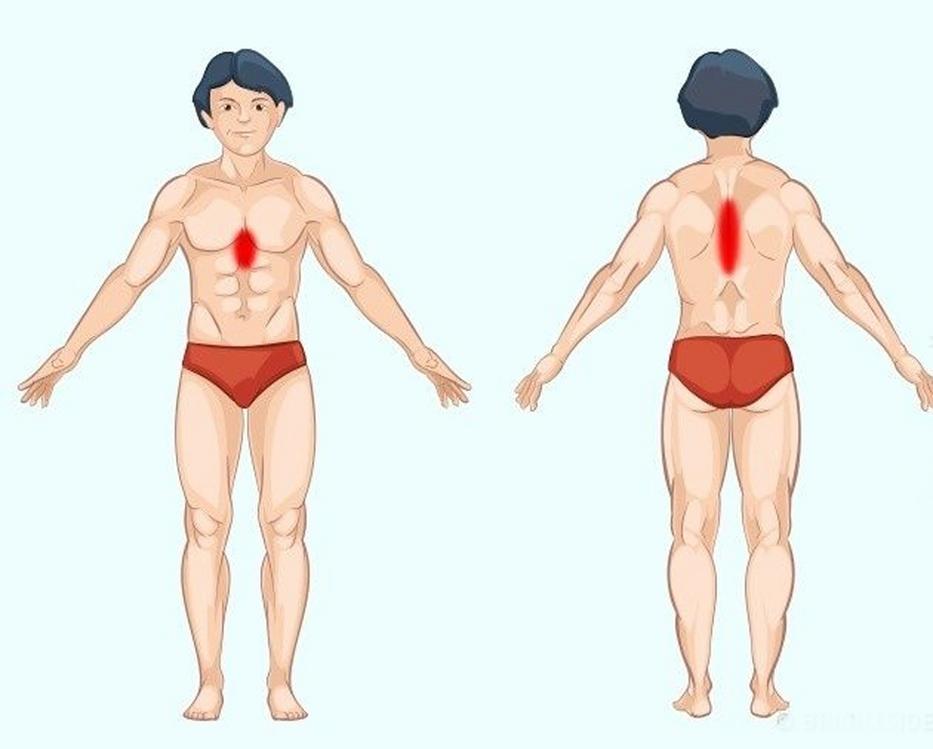 fájdalom helye és a hozzá tartozó szerv Fotó: brightside.me