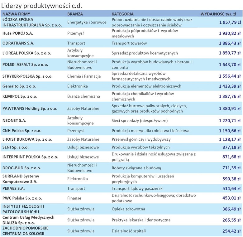 Liderzy produktywności c.d.