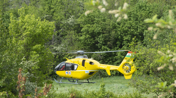 A helyszínre érkező mentőhelikopter személyzete csodával határos módon élesztette újra Andrást /Fotó: MTI - Cseke Attila