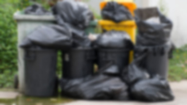 Nowe zasady odbierania śmieci od 1 stycznia – będzie bliżej, częściej i wygodniej