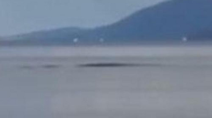 Lencsevégre kapták a Loch-Ness-i szörnyet?