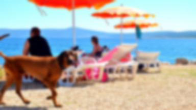 Plaża dla psów w Crikvenicy zapewnia wszelkie wygody i specjalne menu