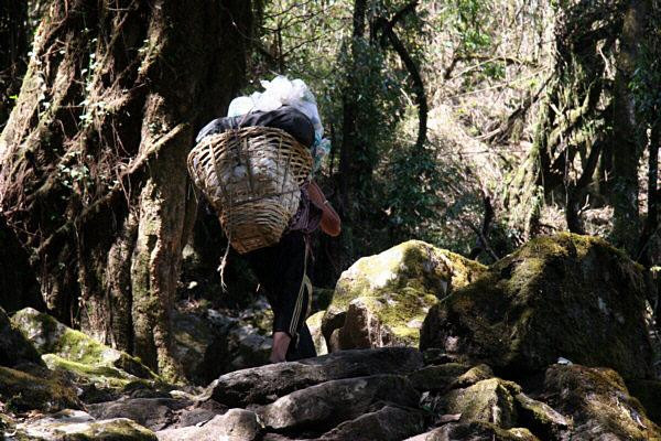 Galeria Nepal - trekking do  Południowego Sanktuarium  Annapurny, obrazek 30