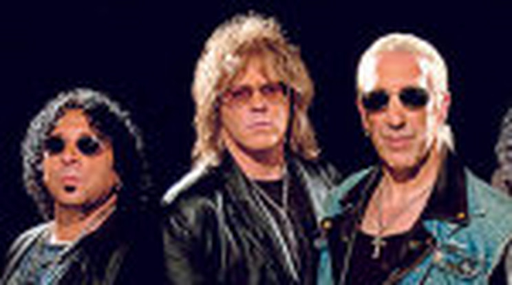 Twisted Sister, az importőr