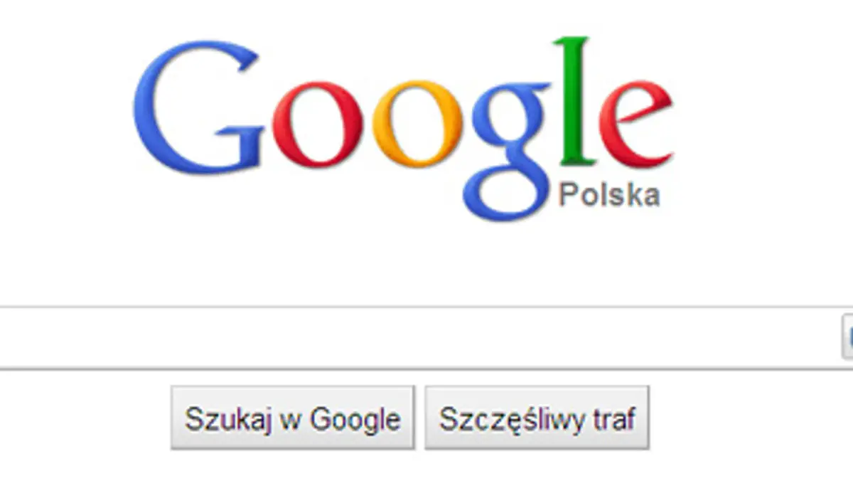 Google: czego szukali Polacy? Czego szukał świat w 2010 roku?