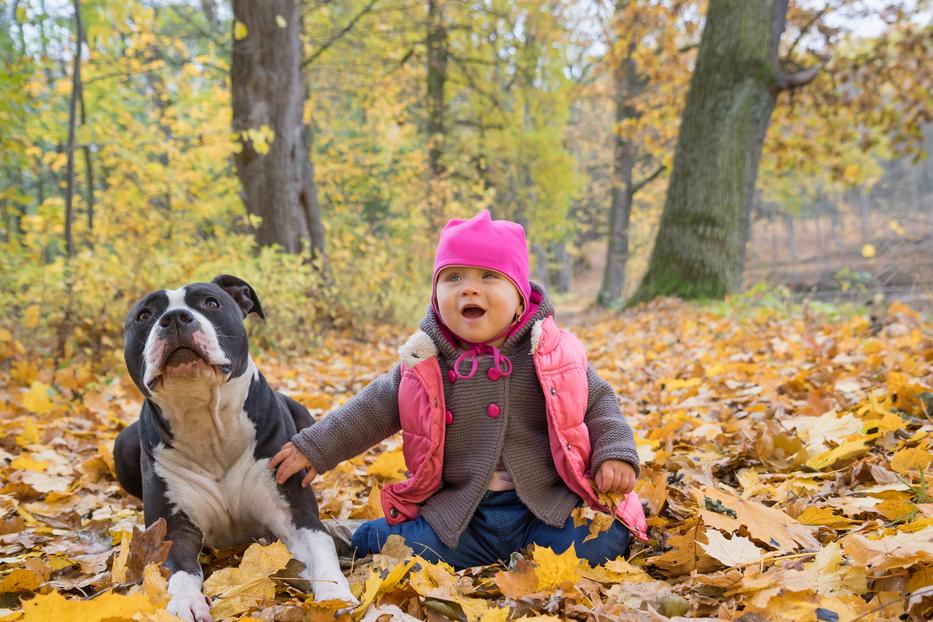 fotó: iStock