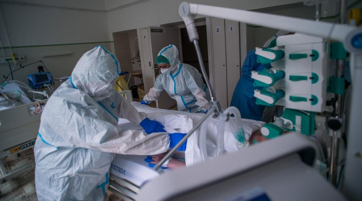 Koronavírusos beteget ápolnak az Országos Korányi Pulmonológiai Intézetben / Fotó: MTI - Balogh Zoltán