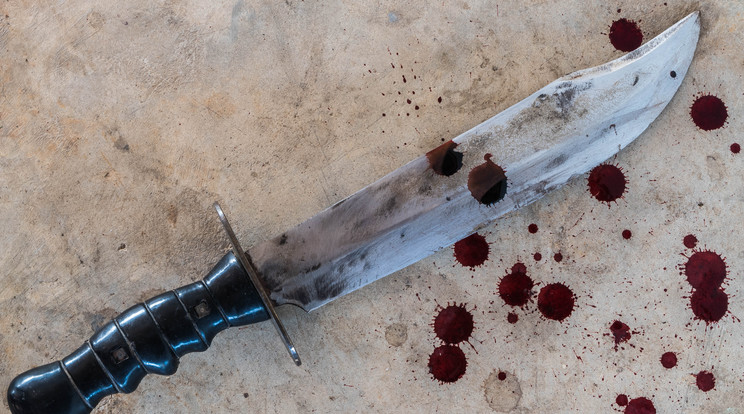 Ilyen machetével követték el a gyilkosságot / Fotó: Thinkstock