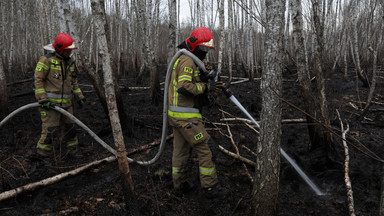 Biebrzański Park Narodowy podał, jaki obszar zniszczył pożar