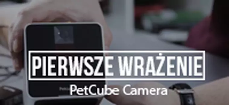 Pierwsze wrażenie - Petcube Camera