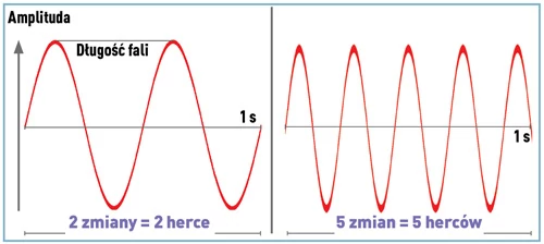 Fala przebiega na zmianę przez swoje maksima i minima. Czas pomiędzy jednym maksimum a drugim określany jest jako długość fali. Im częściej następuje przejście pomiędzy maksimum i minimum, tym wyższa jest częstotliwość fali wyrażana w hercach
