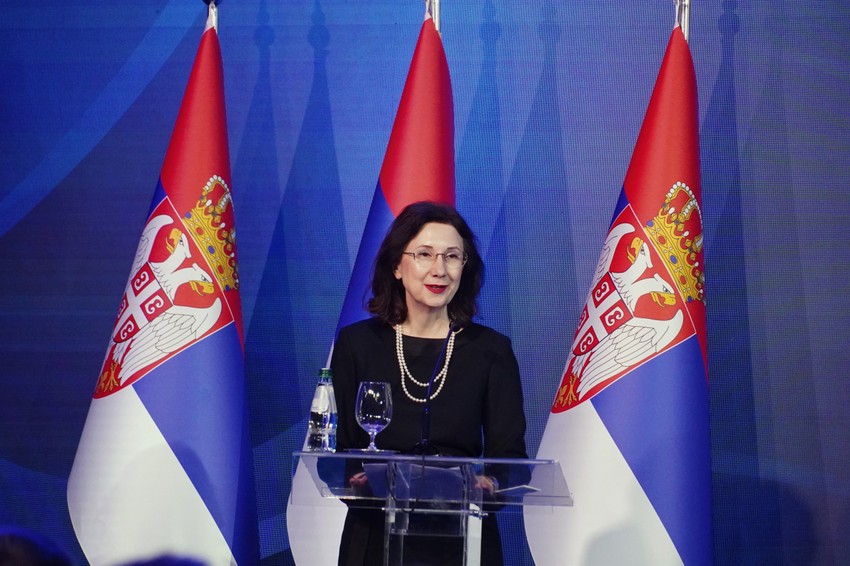 Dragana Mitrović  profesorka na FPN u Beogradu 