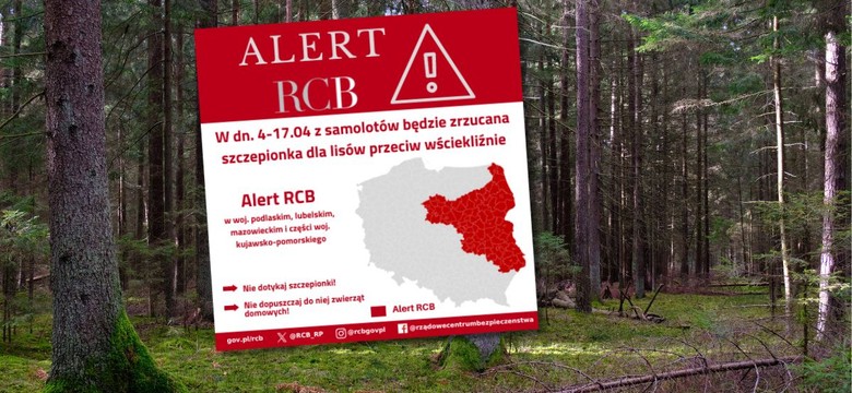 RCB ostrzega mieszkańców kilku województw. "Nie dotykaj!"