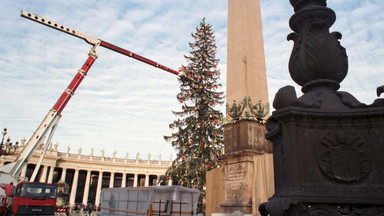 Watykan: choinka z Polski stanie w tym roku na placu Świętego Piotra