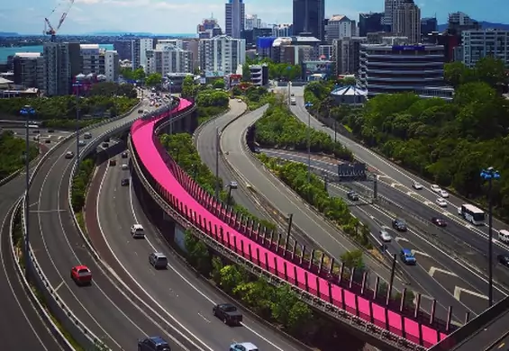 Ta ścieżka rowerowa jest cała różowa i uchodzi za najpiękniejszą na świecie
