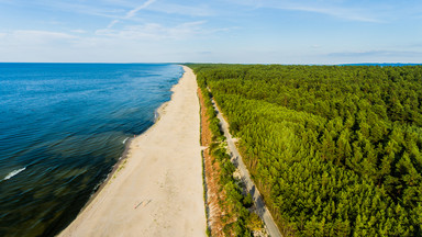 Dzikie, długie i szerokie. Takie są plaże w Krynicy Morskiej