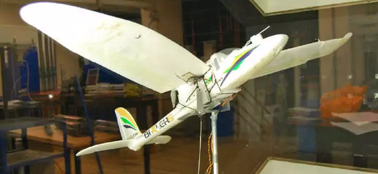 Naukowcy stworzyli drona lądującego podobnie do ptaków