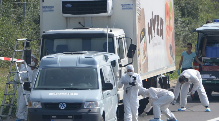 A 71 menekültet ebbe a teherautóba zsúfolták be / Fotó: MTI