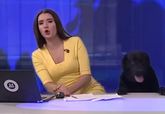 Wpadka w rosyjskiej telewizji. Pies też chciał zostać prezenterem
