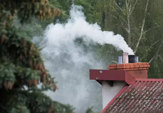 Przełomowe badanie pokazuje, jak brudne powietrze powoduje raka płuc