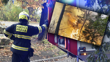 Czesi walczą z pożarem na terenie Parku Narodowego Czeska Szwajcaria. Ogień wymknął się spod kontroli