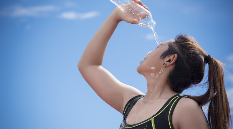 Figyelmezetetést adtak ki a fél országra a hőség miatt/Fotó:Shutterstock