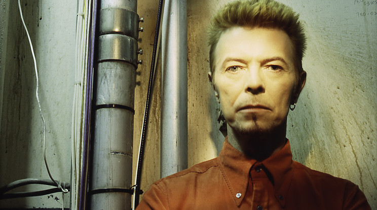 David Bowie januárban hunyt el /Fotó: Northfoto