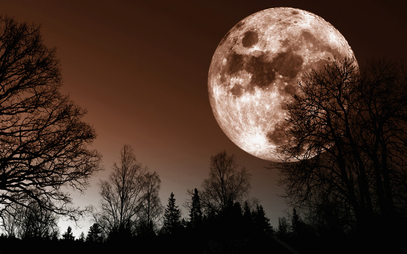 Pełnia księżyca w Wodniku - dziś nie śpisz