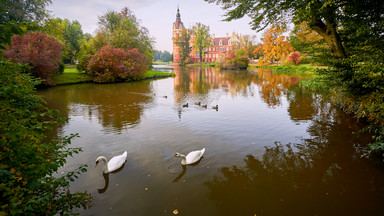 Park Mużakowski, czyli zielony kosmos