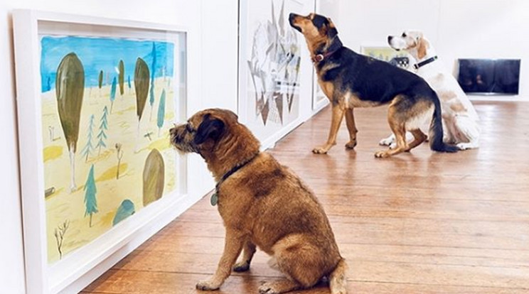 A kutyákat Londonban már kiállításra is lehet vinni/Fotó:Instagram