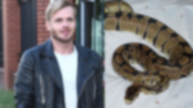 Polskie gwiazdy boją się pytona tygrysiego? "Nie kocham się z wężami"