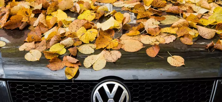 Volkswagen ujawnia szczegóły planu uporania sie ze skutkami afery spalinowej