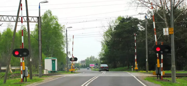 Policja i SOK we wspólnej akcji. Ruszyła "Aktywna tarcza"