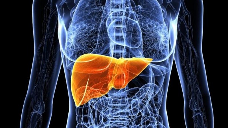 zQektkpTURBXy9jZWIxNDMxYzM3YTlhMGZlYWIwN