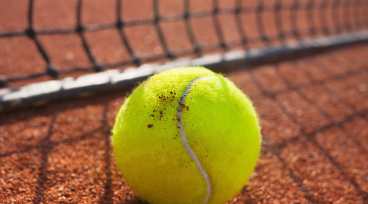 Hatalmas botrány a magyar teniszben /Illusztráció: Northfoto