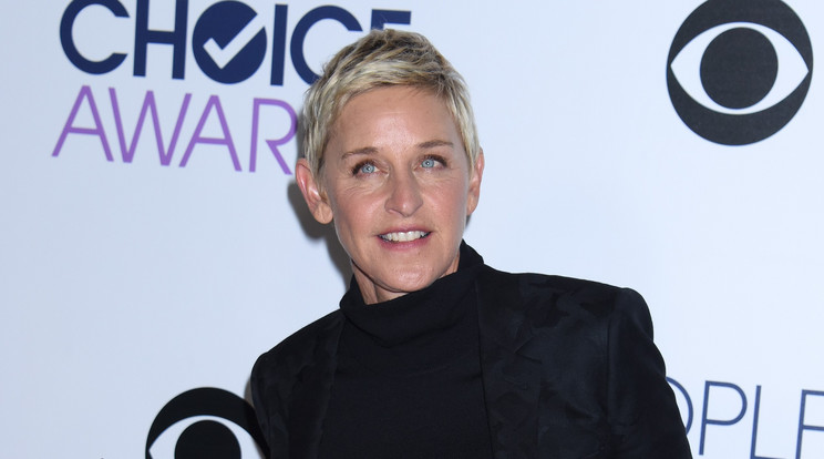 Ellen DeGeneres is felfedezte a Vili bácsi-mémet /Fotó:Northfoto